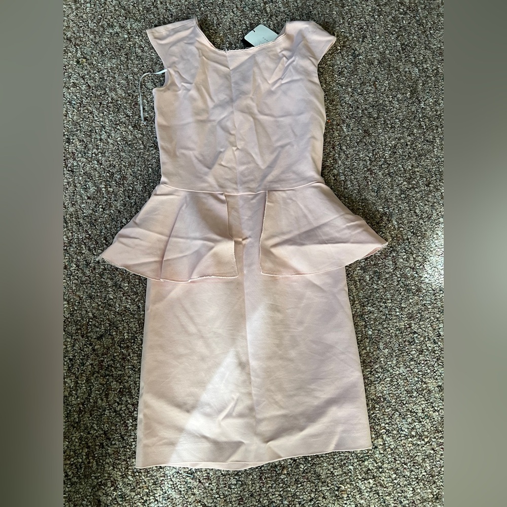 Zara Light Pink Formal Peplum Dress